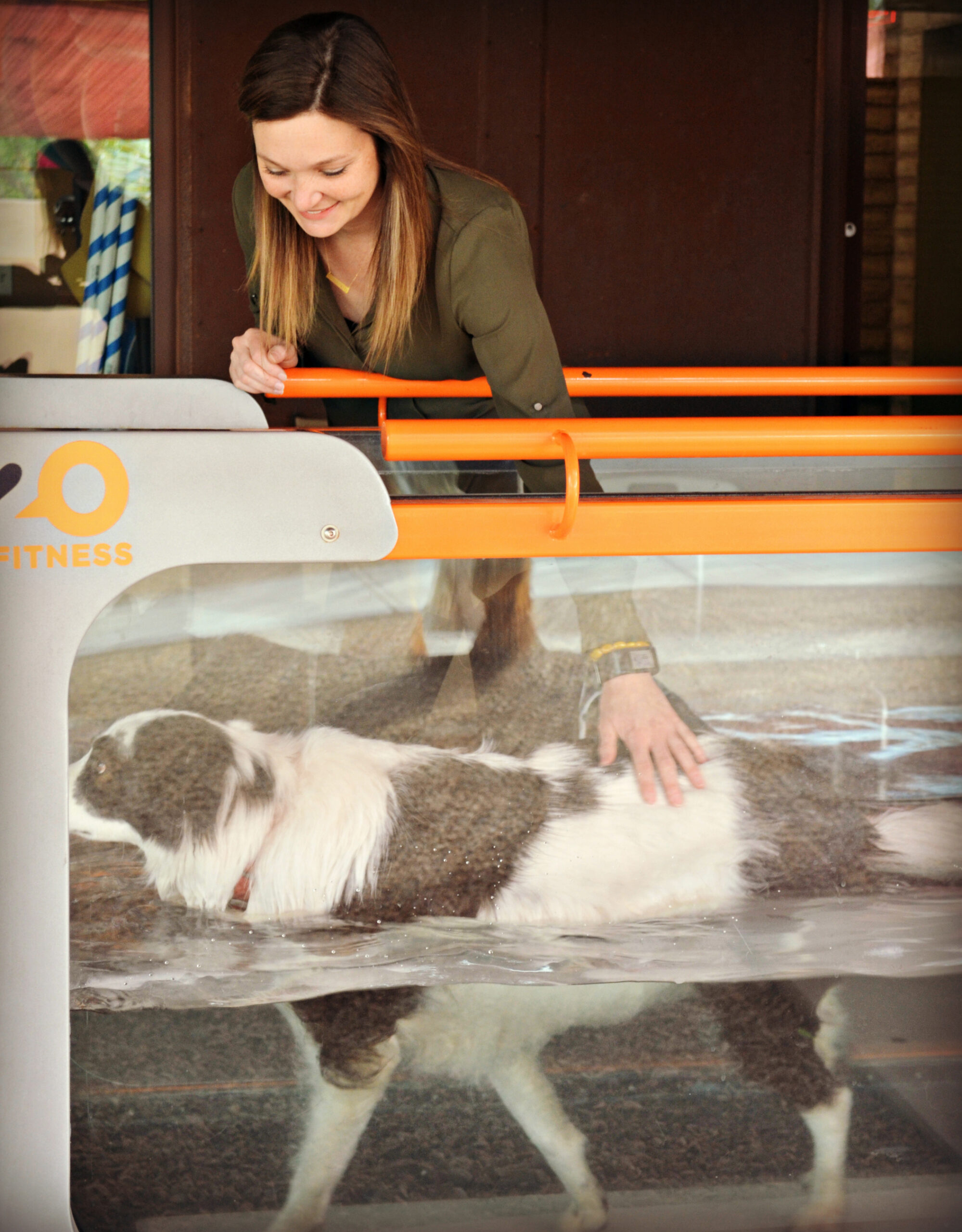 PAWS treatment options help maintain pet wellness | AZ Jewish Post