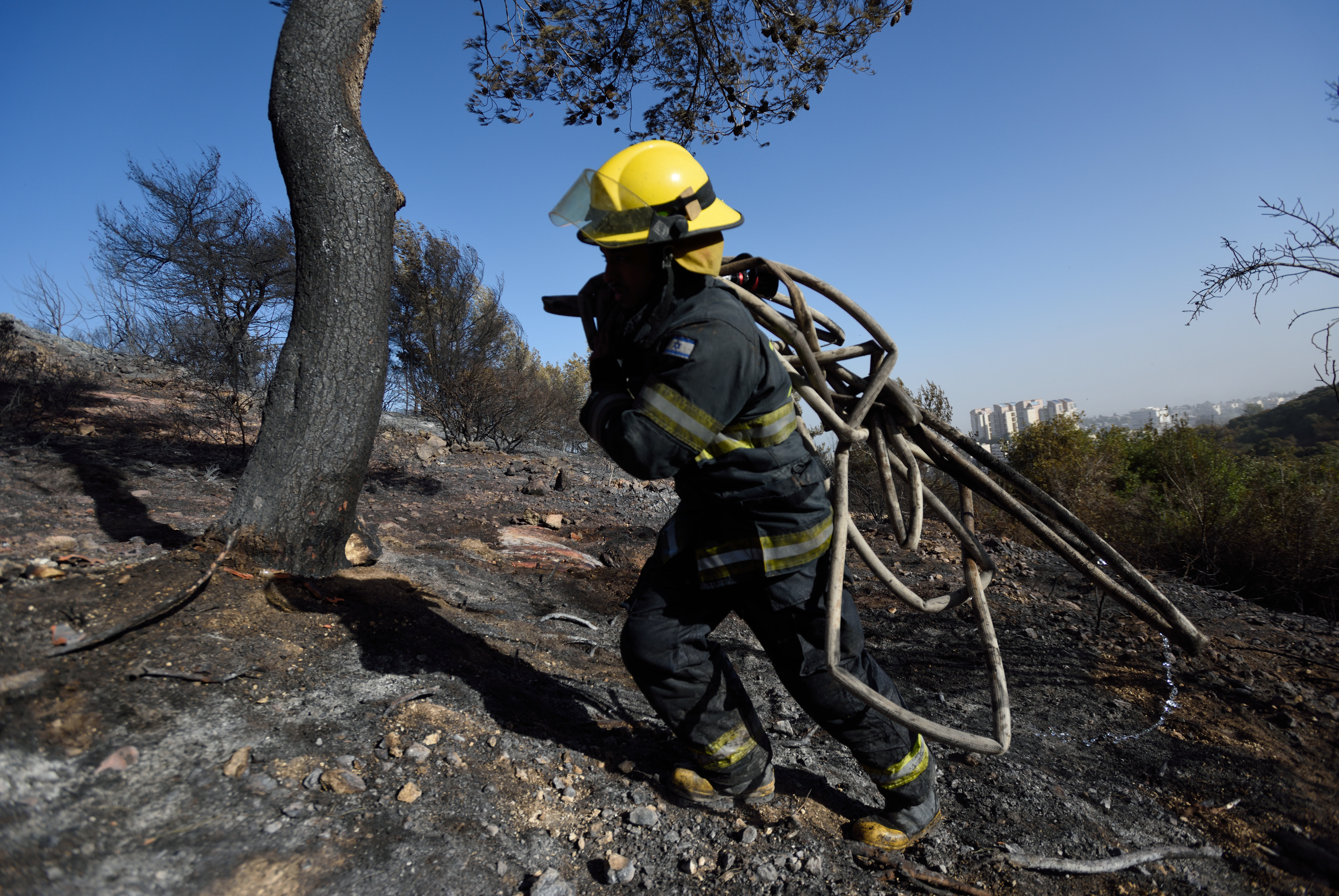 An Israeli firefighter treks through a forest burned by a massive forest in Haifa, Israel, Nov. 25, 2016. (Gili Yaari /Flash90)