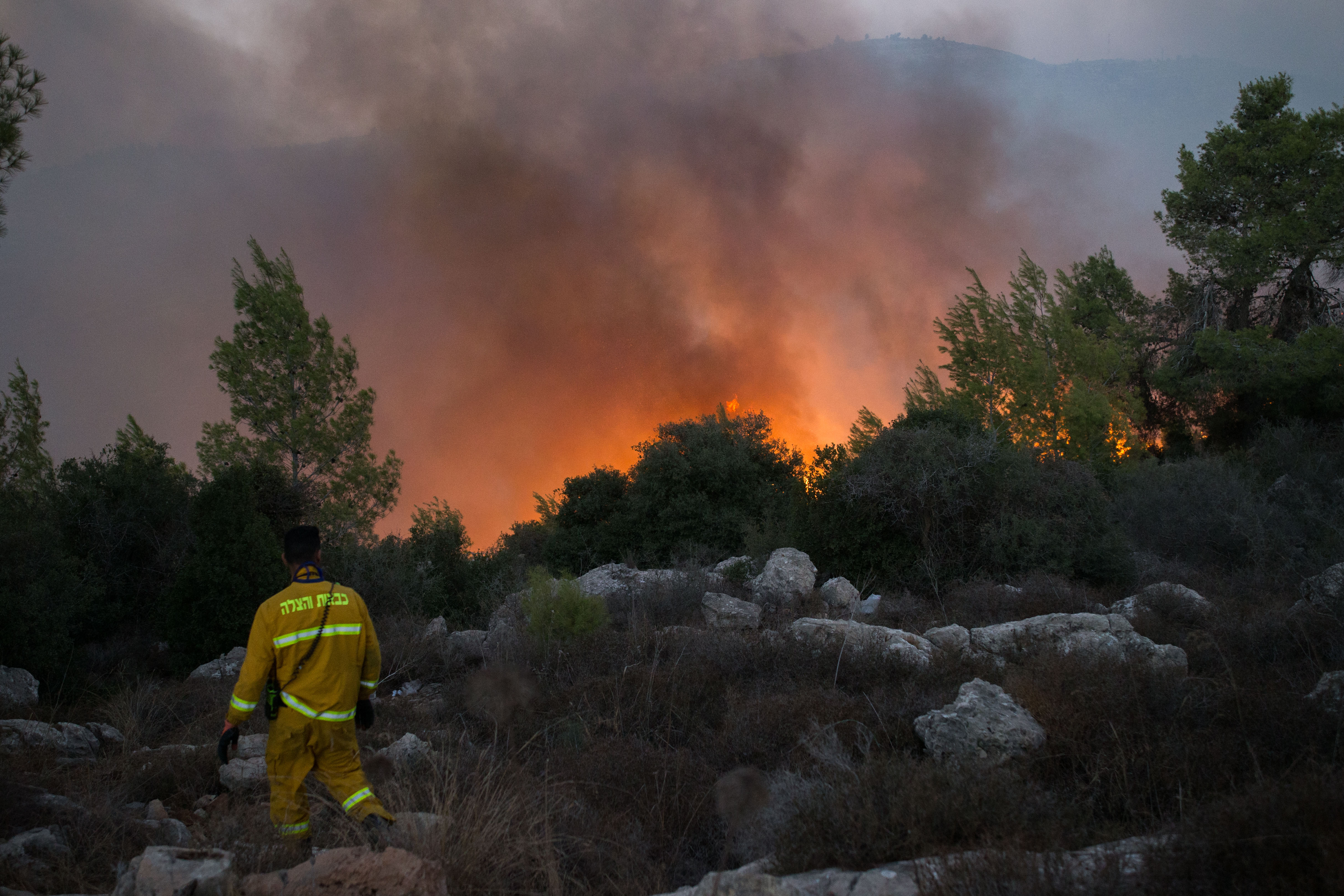 A firefighter views a wildfire that broke out outside Jerusalem, Nov. 25, 2016. (Yonatan Sindel/Flash90)