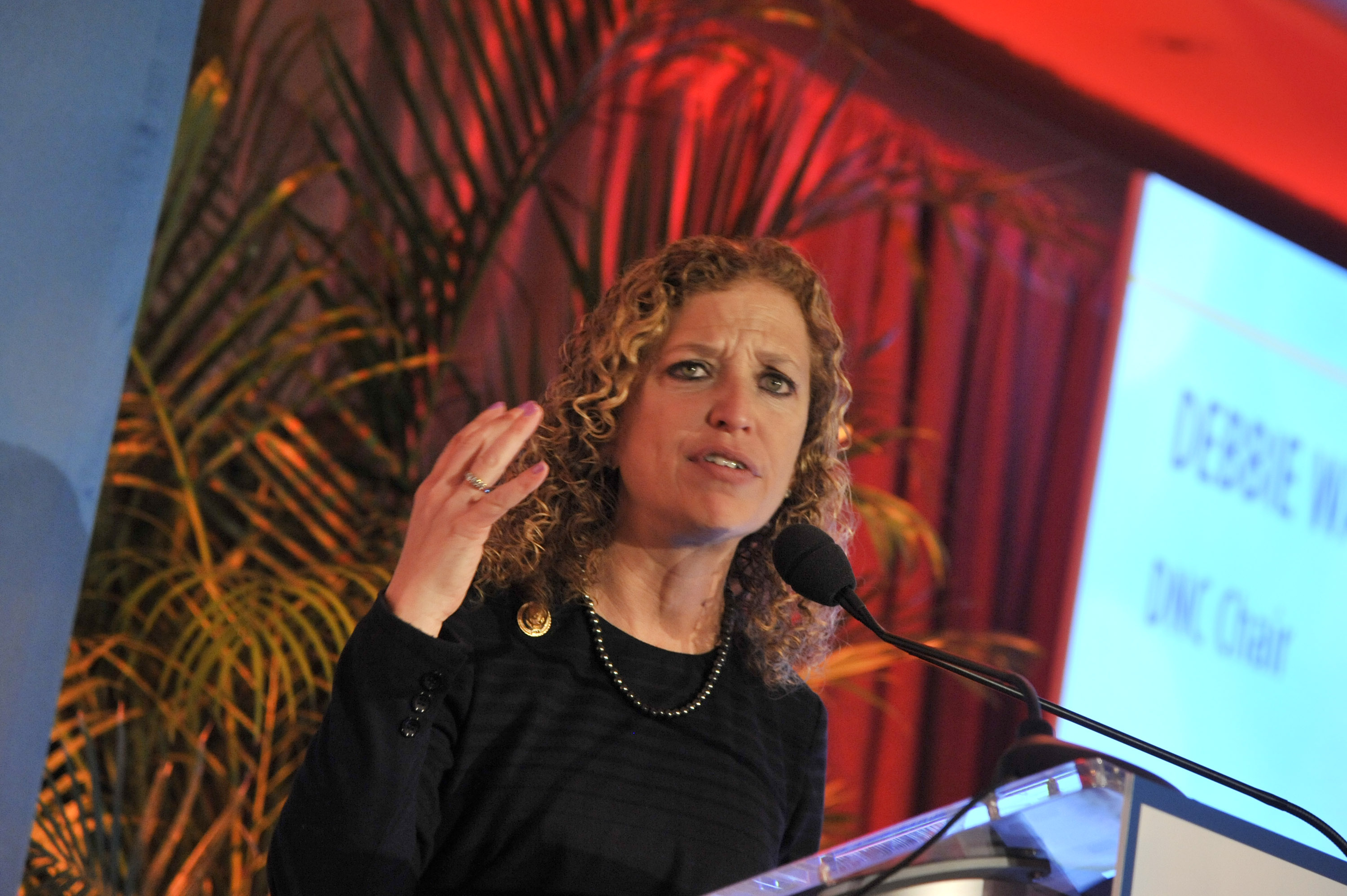 Rep. Debbie Wasserman Schultz speaking at a gala in Washington, D.C., March 3, 2015. The Florida Democrat has not declared on the Iran deal. (Kris Connor/Getty Images)