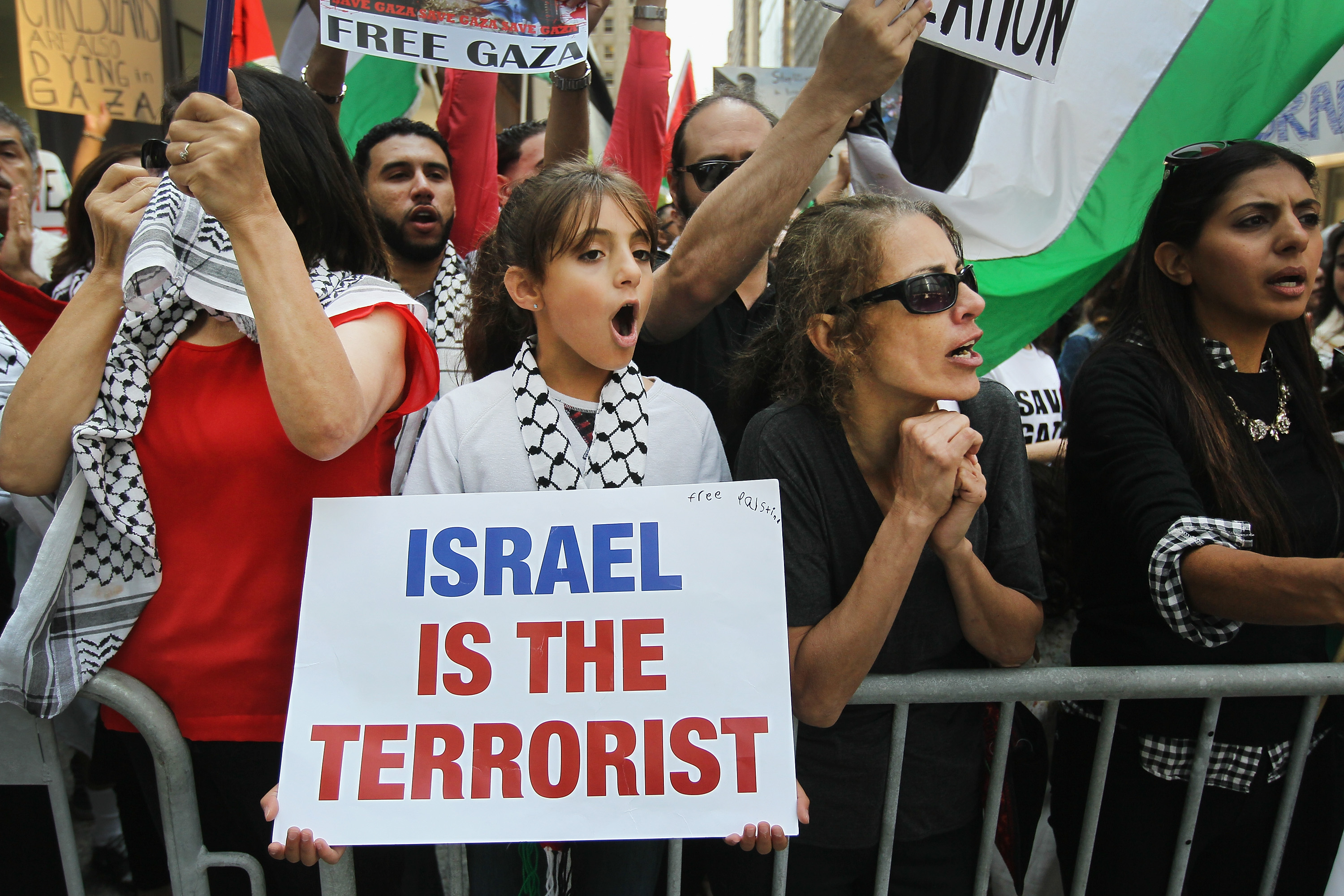 Pro-Palestinian demonstrators protest across the street from a pro-Israel really in Chicago, July 28, 2014. (Scott Olson/Getty Images)