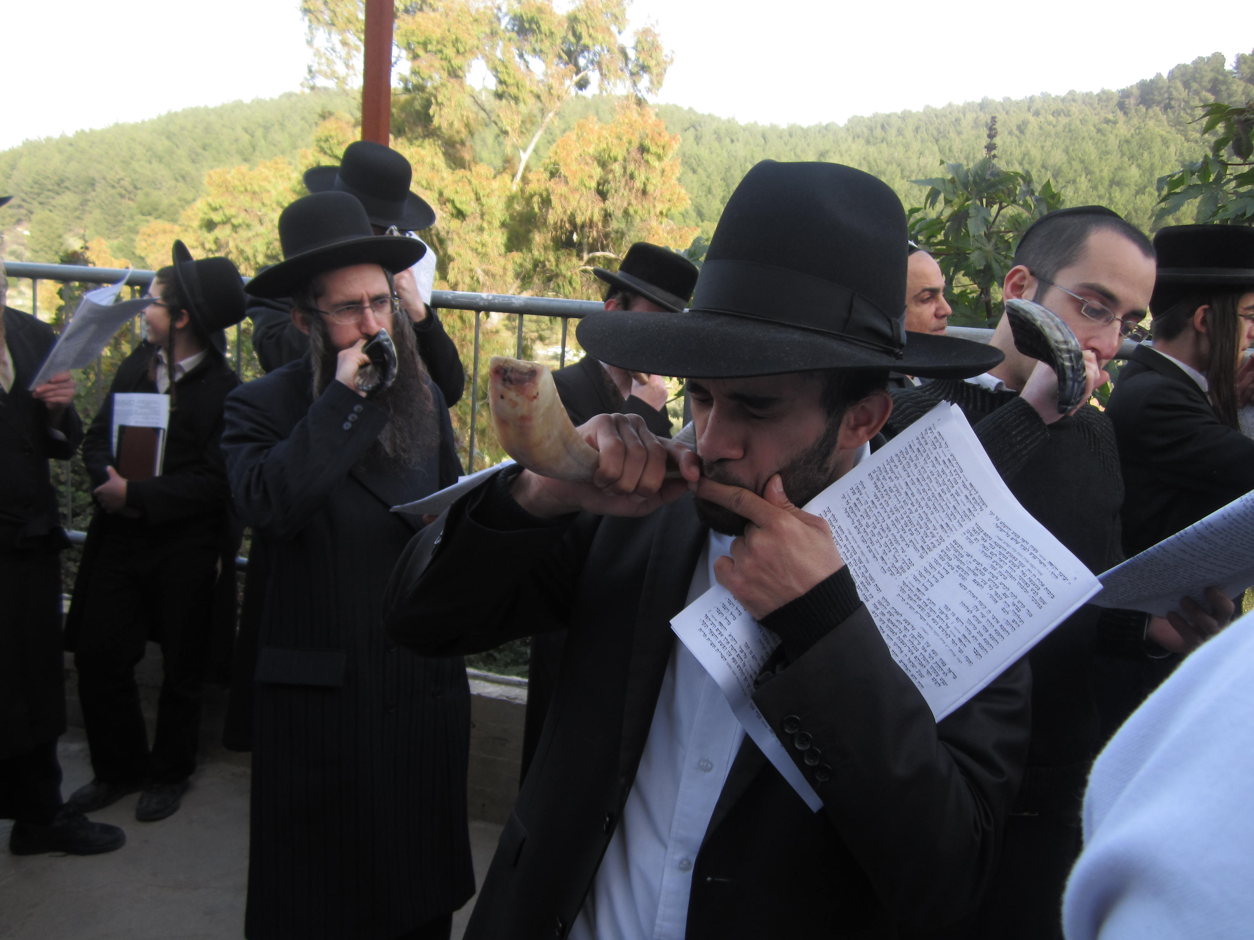 Men blowing shofars to help the unmarried find matches at the ceremony of the grave of Rabbi Yonatan ben Uziel in a forest near Safed, Jan. 27, 2013. (Ben Sales/JTA)
