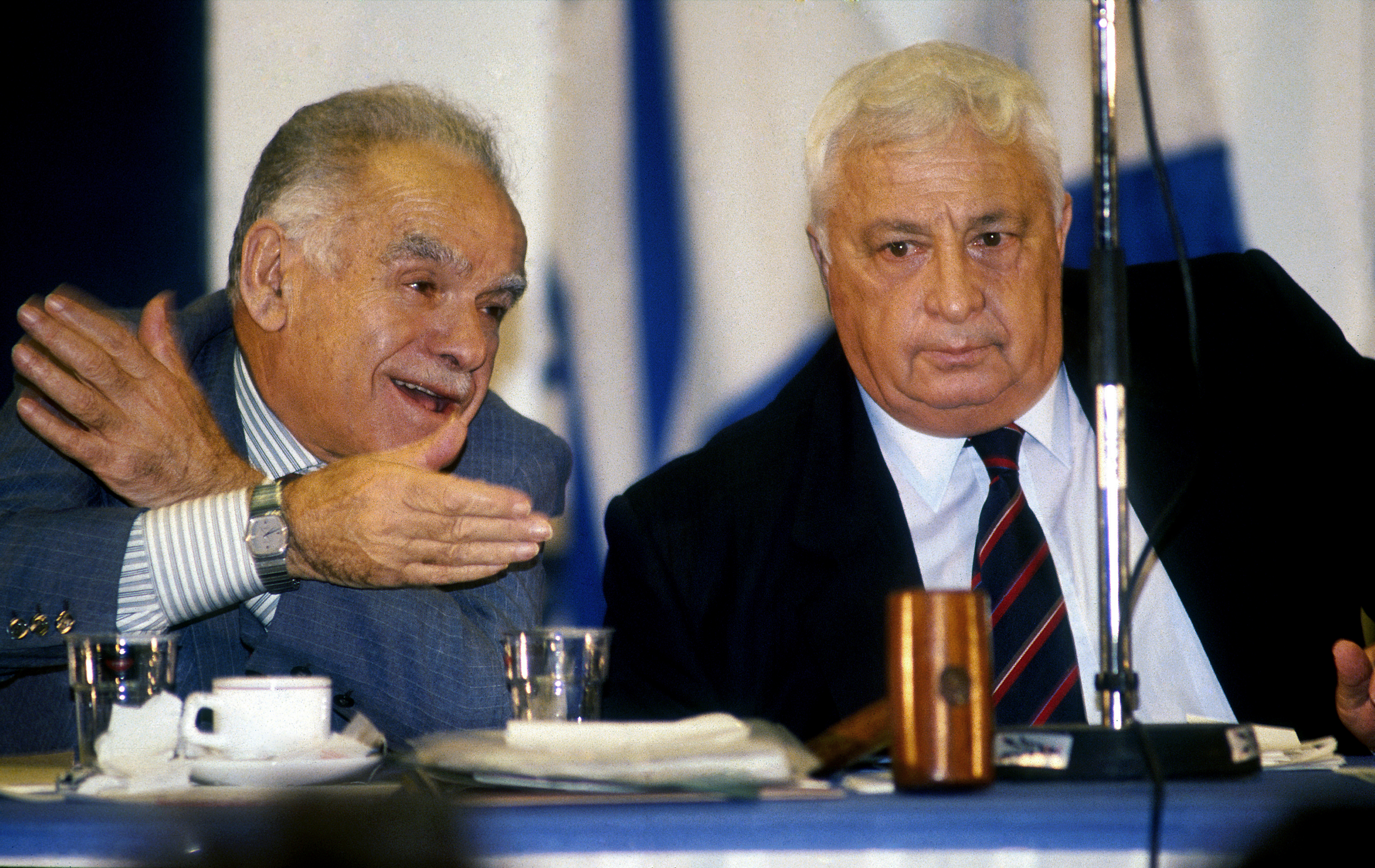 Yitzhak Shamir and Ariel Sharon