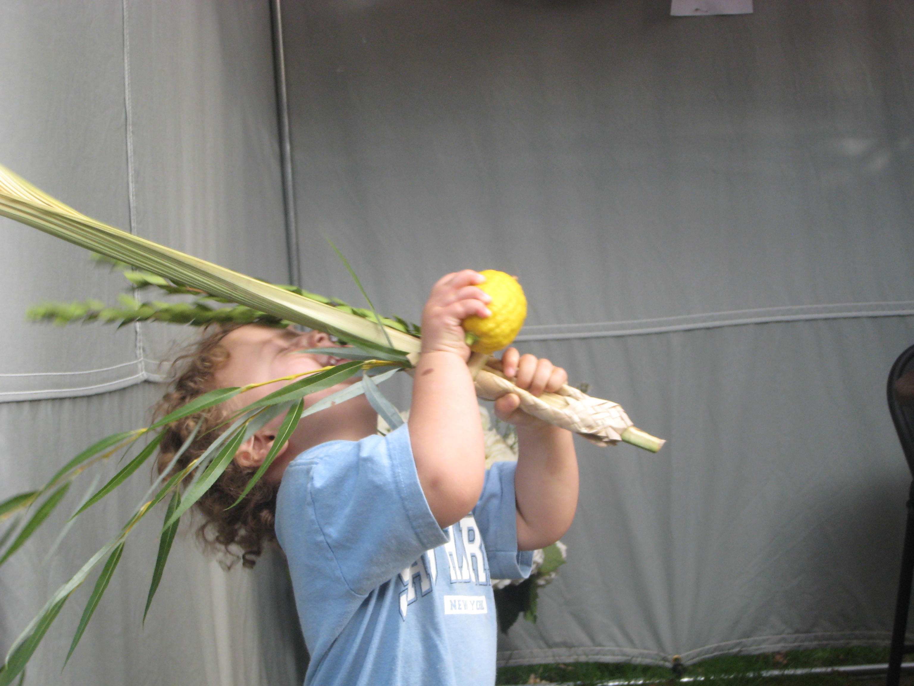 Berkowitz Sukkot