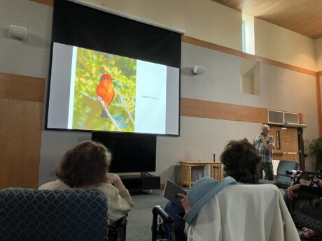 Handmaker residents sit looking at a screen showing a vermilion flycatcher. A man holding a microphone stands at right.